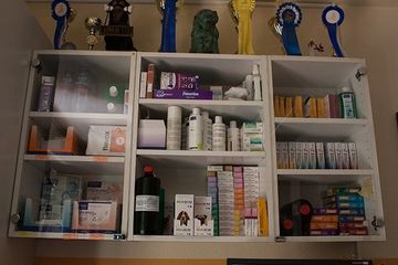 Tierarzt Apotheke
